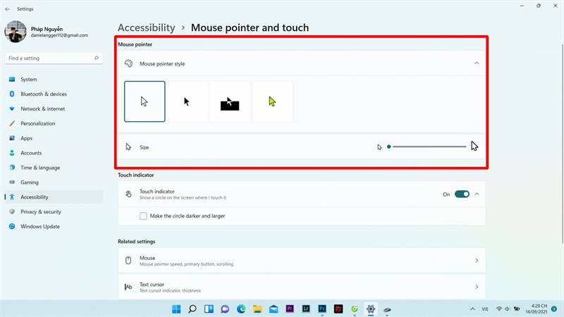 Tùy chỉnh chuột