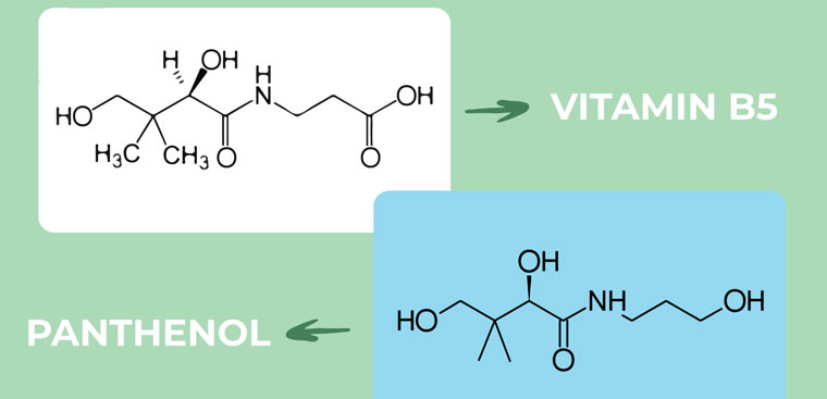 Vitamin B5 tồn tại dưới dạng chất gì trong mỹ phẩm?
