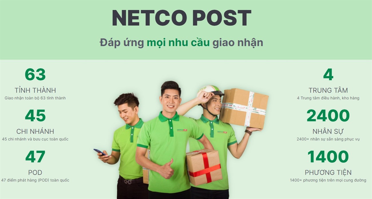 NETCO là gì?  Bạn cung cấp dịch vụ gì?