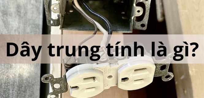 Dây trung tính là gì? Tác dụng và cách phân biệt dây trung tính