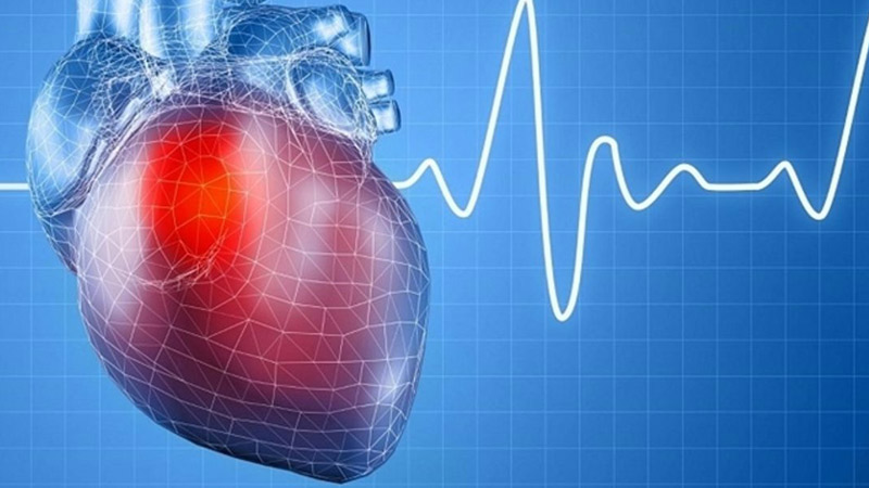Thiếu hụt vitamin B1 trong cơ thể  có thể dẫn đến nhịp tim chậm hơn bình thường