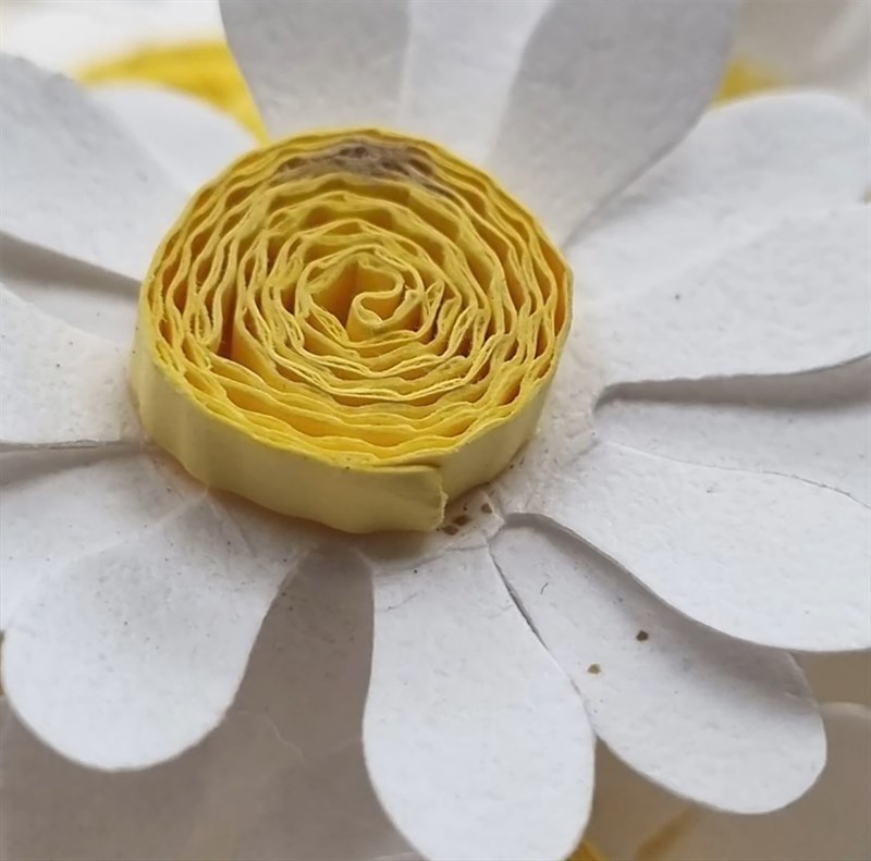 Ảnh chụp macro của Xiaomi Redmi 10.