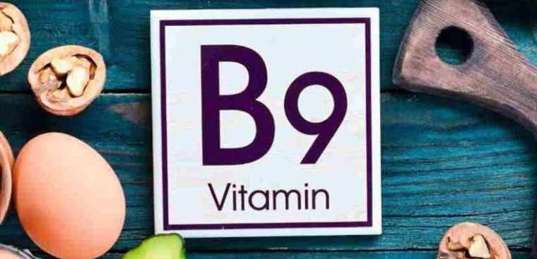 Vitamin B9 có tác dụng gì trong cơ thể?
