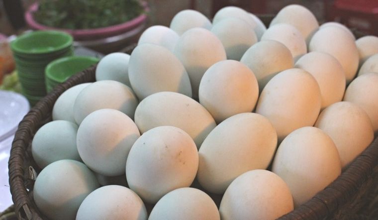 Trứng vịt bao nhiêu calo? Ăn nhiều có tốt không?
