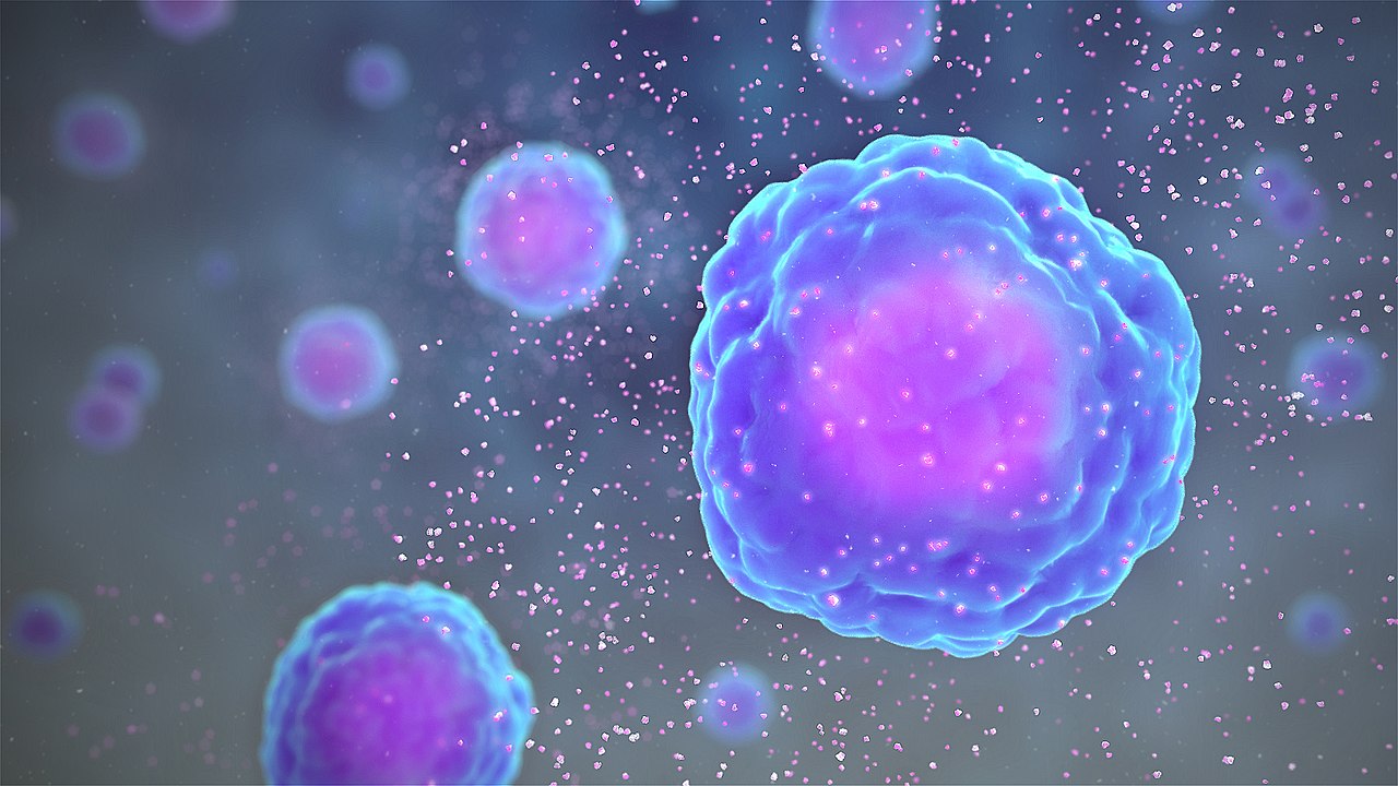 Cytokine là một quần thể đa dạng của nhiều protein được sản sinh bởi các tế bào Cytokine là một quần thể đa dạng của nhiều protein được sản sinh bởi các tế bào