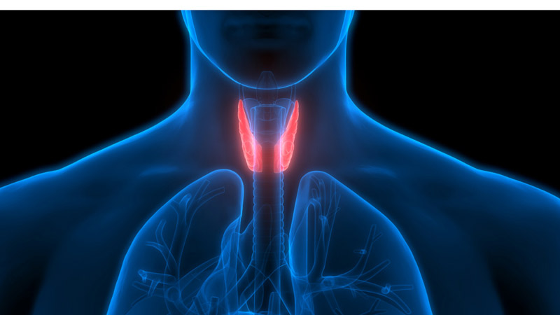 thiếu hụt hormone của tuyến cận giáp này dẫn đến tình trạng giảm canxi và tăng phospho trong máu thiếu hụt hormone của tuyến cận giáp này dẫn đến tình trạng giảm canxi và tăng phospho trong máu