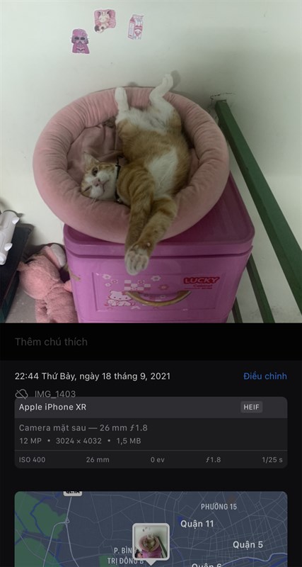 iOS 15 cho phép hiển thị thông tin về bức ảnh mà các bạn đã chụp iOS 15 cho phép hiển thị thông tin về bức ảnh mà các bạn đã chụp