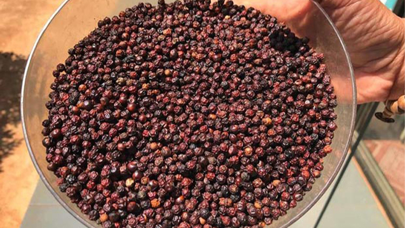 Xuất khẩu trong nửa đầu tháng 9/2021 đạt 6.359 tấn tiêu các loại, với giá trị kim ngạch 25,73 triệu USD