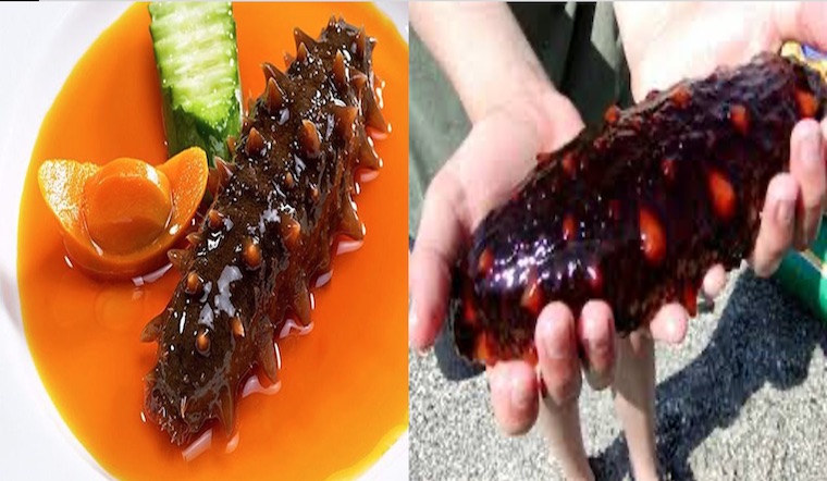 7. Thị trường, giá cả và mua bán