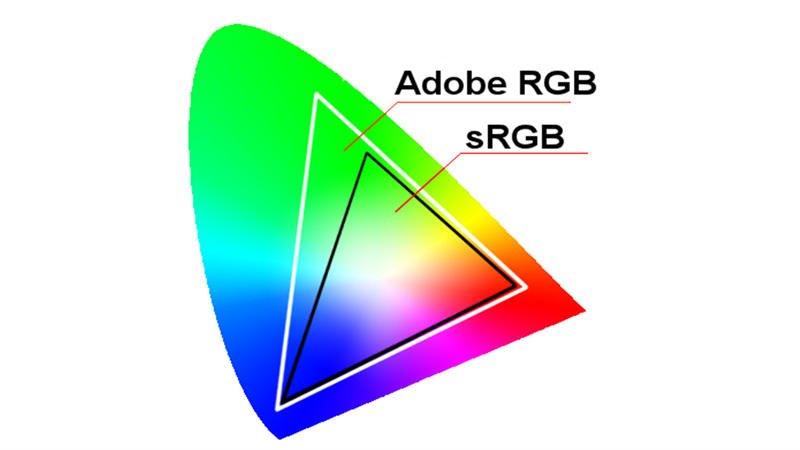 Adobe RGB được gọi là không gian gam màu rộng vì nó có thể tái tạo một dải màu lớn hơn sRGB