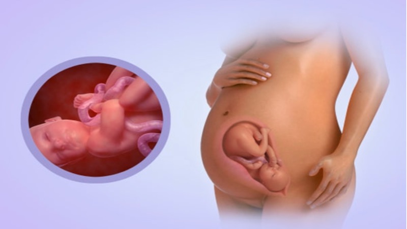 Chân trẻ sơ sinh bị cong: Nguyên nhân và cách phòng tránh chân trẻ bị cong