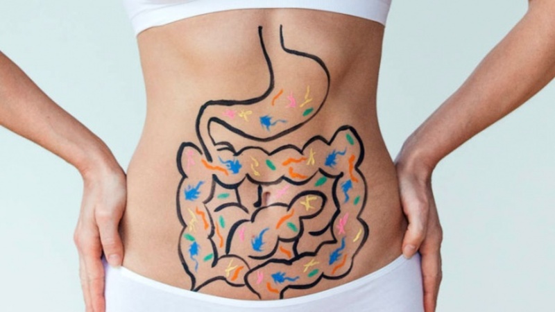 Giấm táo có chứa probiotic, chúng có thể giúp tăng cường hệ tiêu hóa của bạn