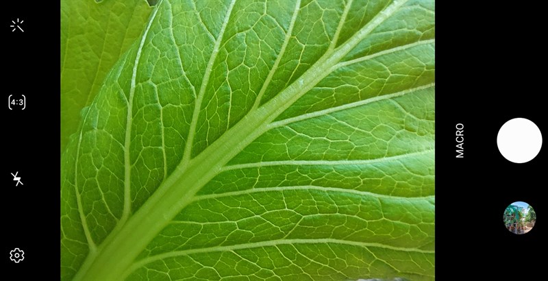 Chụp Macro A52s 5G