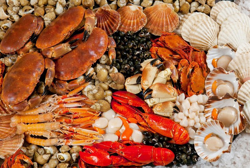 For unused seafood, make sure to clean them, drain the water