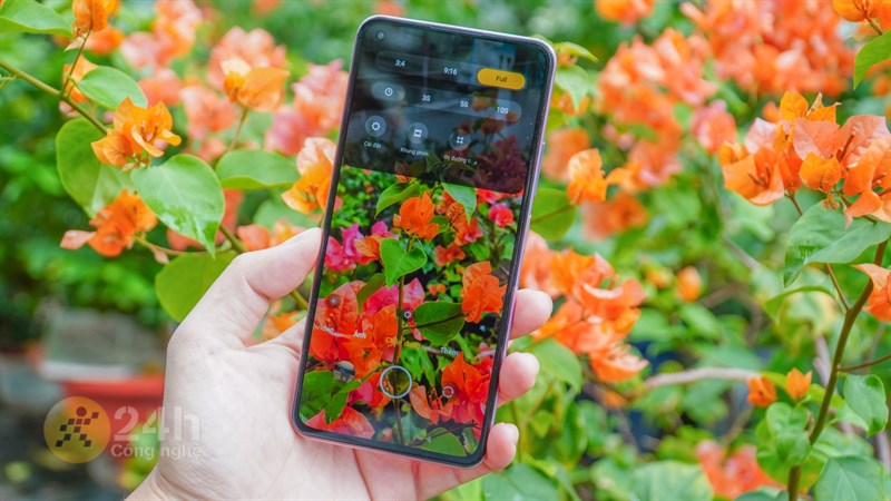 Ảnh chụp bằng camera Xiaomi 11 Lite 5G NE