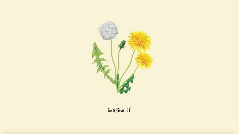 Imagine if - Gnash