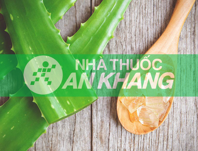 Tìm hiểu về thực phẩm chức năng lô hội và tác dụng của nó