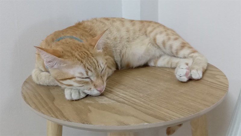 Ảnh chụp từ Galaxy A03s Ảnh chụp từ Galaxy A03s