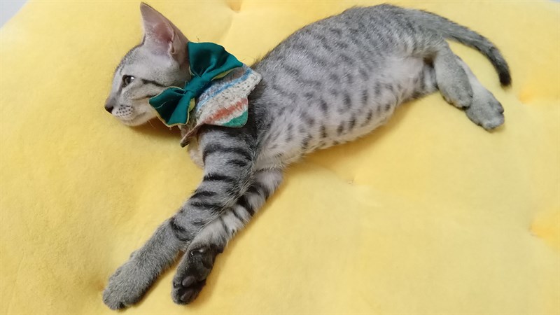 Ảnh chụp từ Galaxy A03s Ảnh chụp từ Galaxy A03s