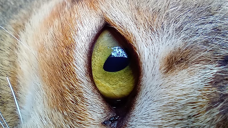 Ảnh chụp từ Galaxy A03s Ảnh chụp từ Galaxy A03s