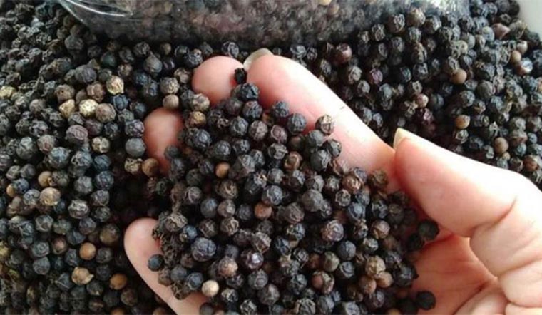 Giá tiêu hôm nay 30/09/2021: Dao động trong khoảng 77.500 - 81.500 đồng/kg