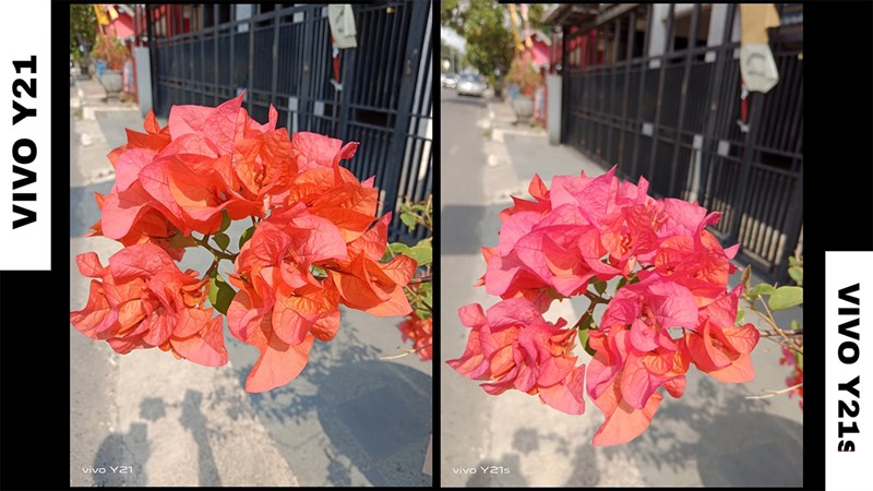 Chênh nhau 1 triệu đồng, Vivo Y21 và Vivo Y21s có điểm gì khác nhau? Nên chọn mua máy nào là phù hợp với tiêu chí ngon bổ rẻ Chênh nhau 1 triệu đồng, Vivo Y21 và Vivo Y21s có điểm gì khác nhau? Nên chọn mua máy nào là phù hợp với tiêu chí ngon bổ rẻ