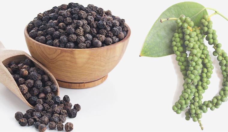 Giá tiêu hôm nay 01/10/2021: Dao động trong khoảng 77.500 - 81.500 đồng/kg