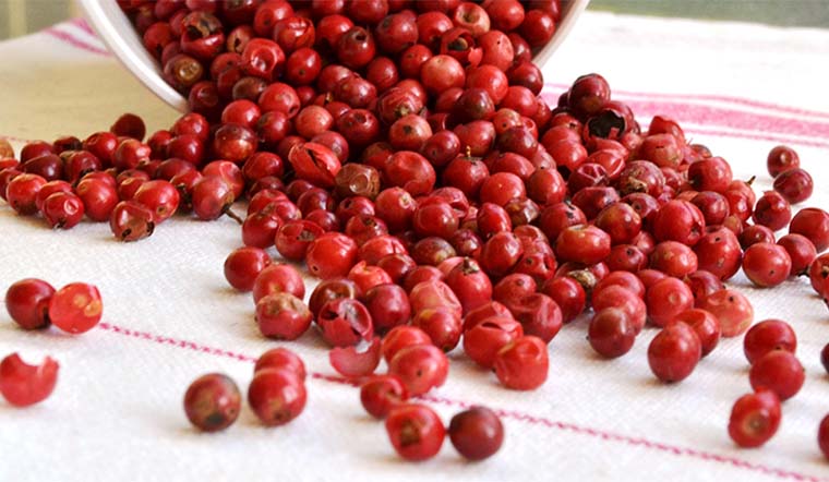 Giá tiêu hôm nay 02/10/2021: Dao động trong khoảng 77.500 - 81.500 đồng/kg