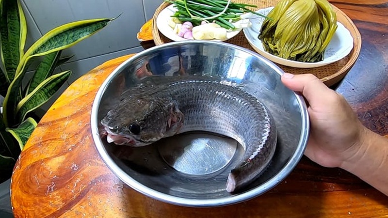 Nguyên liệu làm món cá lóc hấp dưa cải