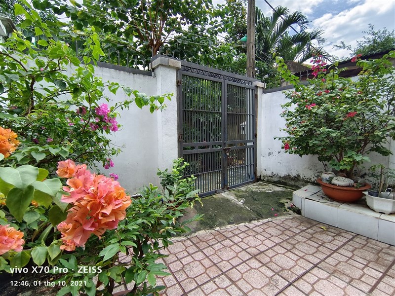 Ảnh chụp trong điều kiện đủ sáng từ camera của Vivo X70 Pro. Ảnh chụp trong điều kiện đủ sáng từ camera của Vivo X70 Pro.