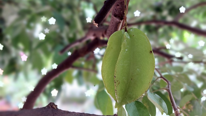 Ảnh chụp từ camera galaxy a52s 5g Ảnh chụp từ camera galaxy a52s 5g