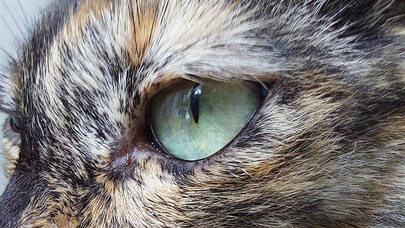 Ảnh chụp từ camera galaxy a52s 5g Ảnh chụp từ camera galaxy a52s 5g