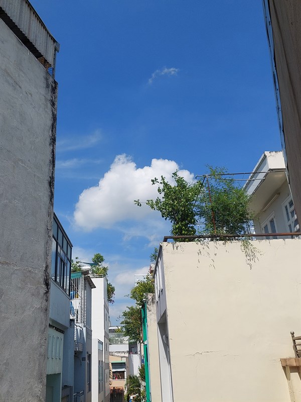 Ảnh chụp từ camera galaxy a52s 5g Ảnh chụp từ camera galaxy a52s 5g