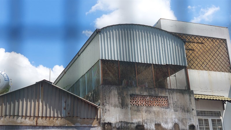 Ảnh chụp từ camera galaxy a52s 5g Ảnh chụp từ camera galaxy a52s 5g