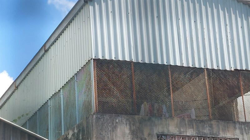 Ảnh chụp từ camera galaxy a52s 5g Ảnh chụp từ camera galaxy a52s 5g