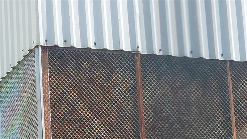 Ảnh chụp từ camera galaxy a52s 5g Ảnh chụp từ camera galaxy a52s 5g