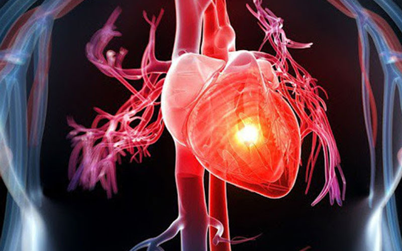 Giúp giảm nguy cơ mắc 1 số bệnh tim mạch