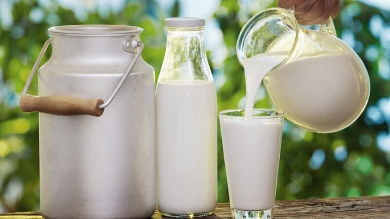 Sữa là thực phẩm dễ bị biến đổi chất khi để ở nhiệt độ phòng