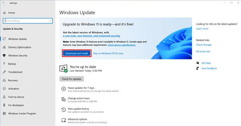 Cách Update Windows 11