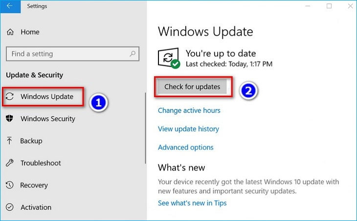 Tại mục Windows Update > chọn Check for updates