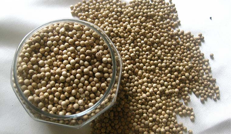 Giá tiêu hôm nay 6/10: Giữ nguyên sau 3 ngày tăng khoảng 78.500 - 82.500 đồng/kg