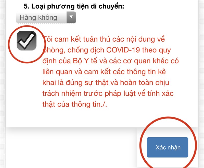 Cam kết thông tin Cam kết thông tin
