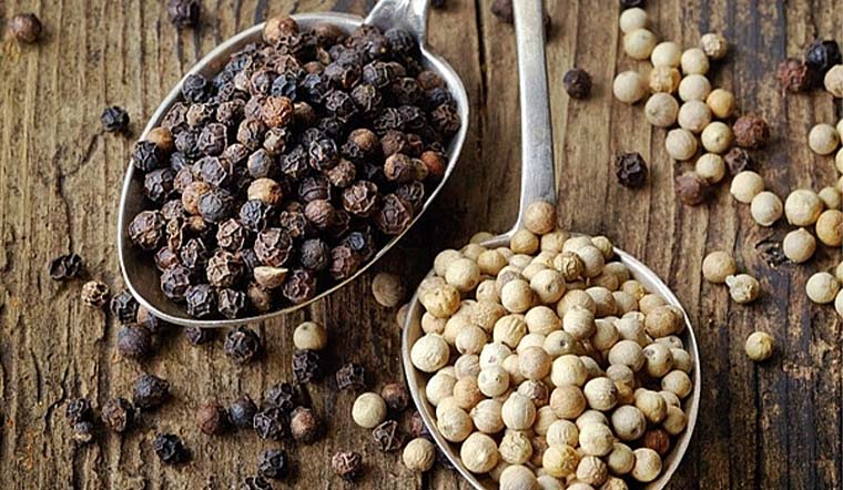 Giá tiêu hôm nay 07/10/2021: Dao động trong khoảng 79.500 - 83.000 đồng/kg