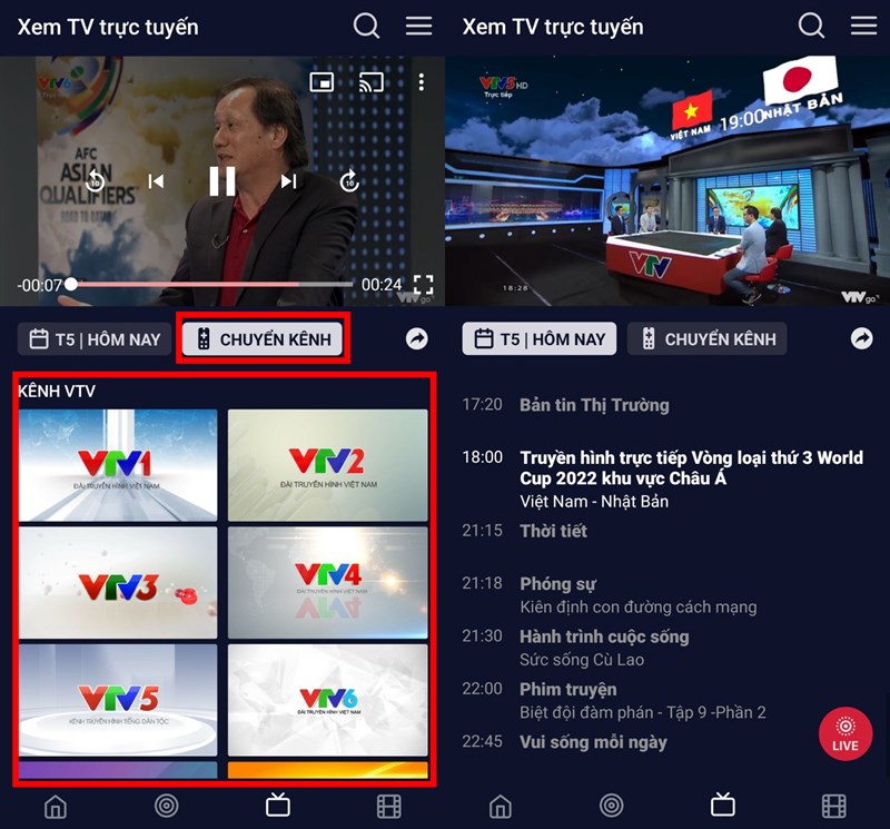 Việt Nam vs Nhật Bản