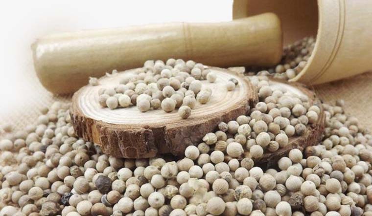 Giá tiêu hôm nay 08/10/2021: Dao động trong khoảng 80.500 - 84.000 đồng/kg