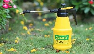 6 mẹo hay giúp bạn đuổi ong ra khỏi nhà đơn giản lại an toàn