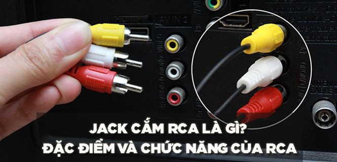 Jack cắm RCA là gì? Tất tần tật về đặc điểm và chức năng của RCA mà bạn nên biết
