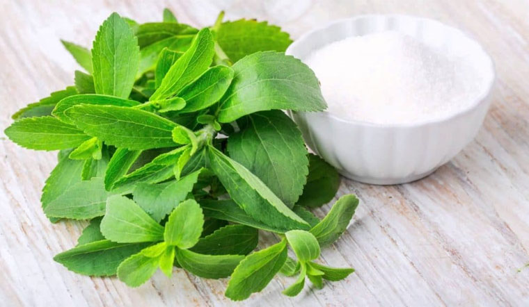 Đường cỏ ngọt là gì? Những điều bạn chưa biết về đường cỏ ngọt