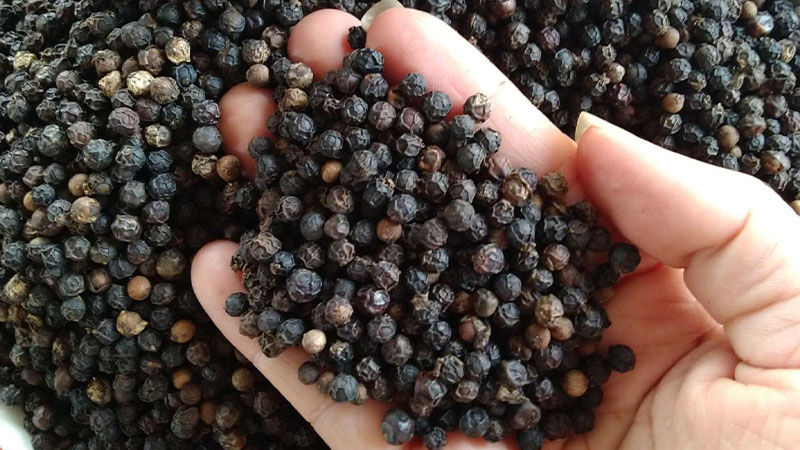 Giá tiêu đen và tiêu trắng xuất khẩu của Việt Nam ổn định mấy ngày qua Giá tiêu đen và tiêu trắng xuất khẩu của Việt Nam ổn định mấy ngày qua