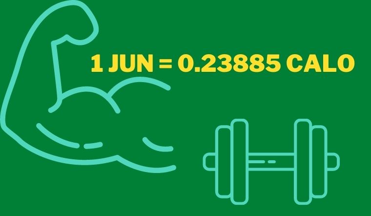1 calo bằng bao nhiêu jun? Cách đổi từ cal sang J (Calo sang Jun)